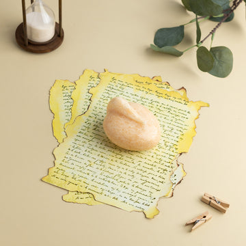 DUCK PAPERWEIGHT
