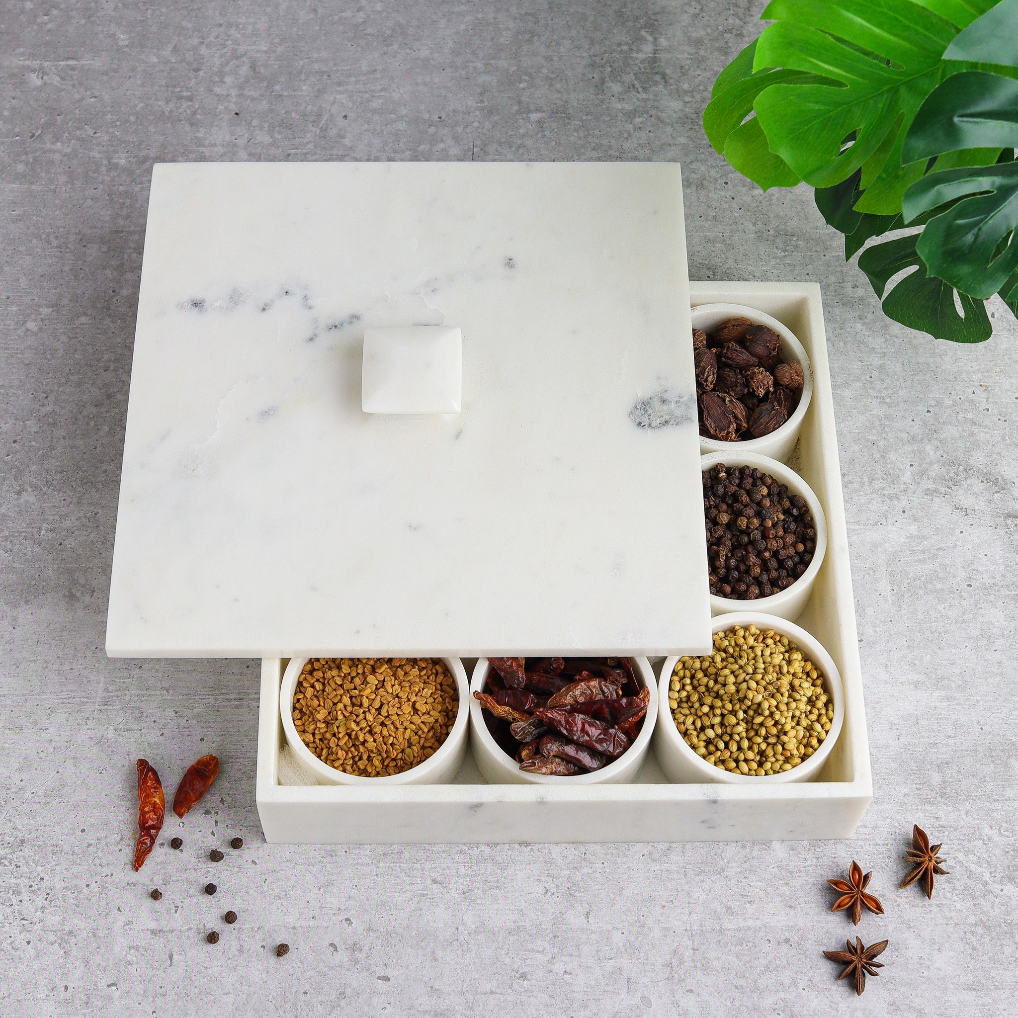 CONDIMENT BOX